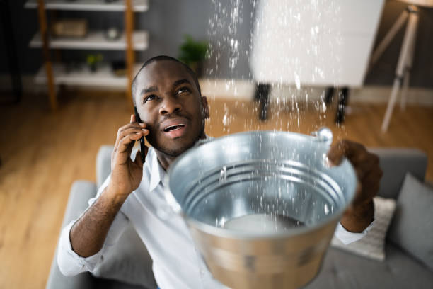 Best Professional water damage repair  in Rainelle, WV