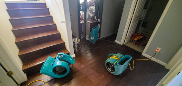 Best Basement water damage restoration  in Rainelle, WV