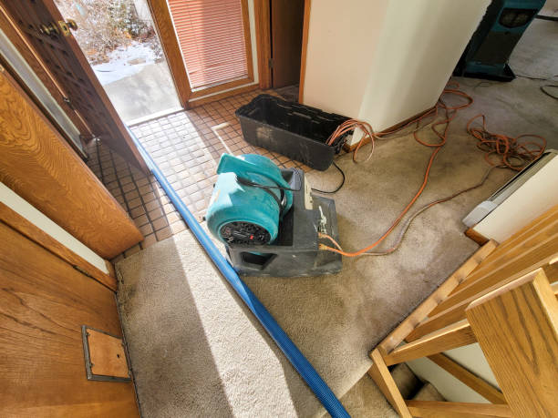 Best Commercial water damage restoration  in Rainelle, WV
