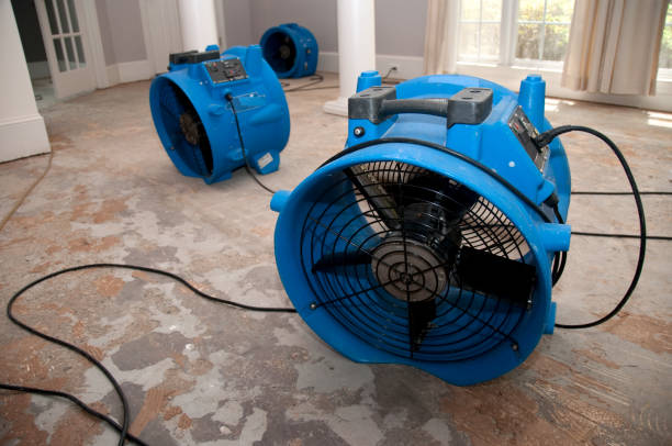 Best Water damage restoration near me  in Rainelle, WV