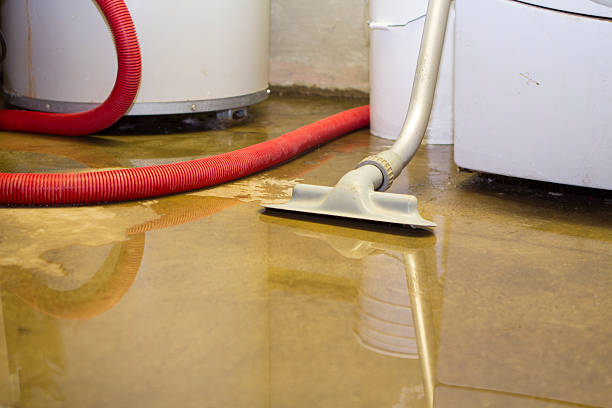 Best Carpet water damage restoration  in Rainelle, WV