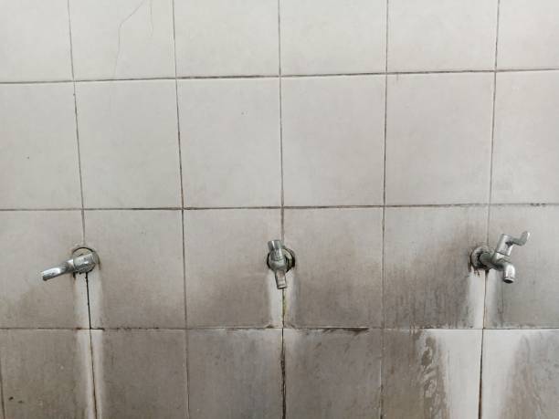 Best Water damage mitigation services  in Rainelle, WV