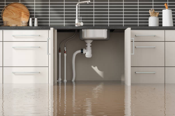 Best Water damage restoration services  in Rainelle, WV