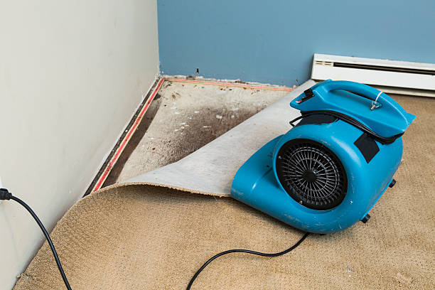 Best Water damage restoration near me  in Rainelle, WV